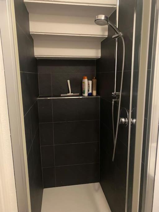 Apartment Delizioso Citta Studi Mailand